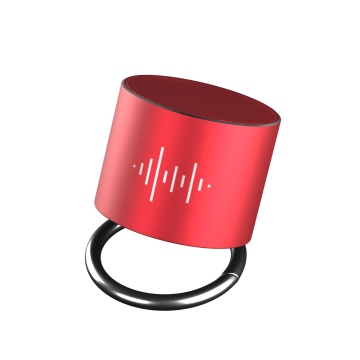 Enceinte ring 3W