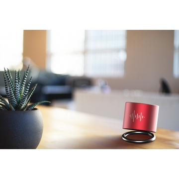 S25 - speaker ring 3W