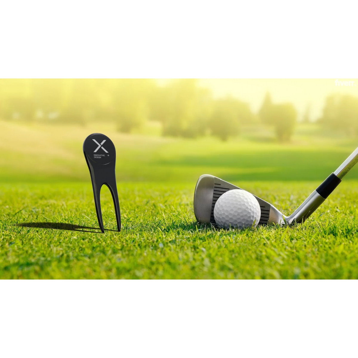 T01 - Golf pitch relief