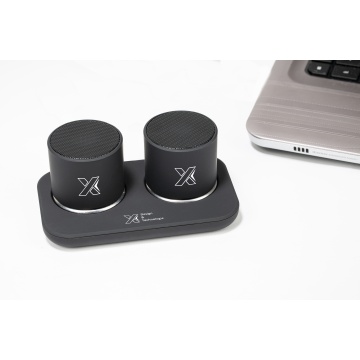 S40 - dual stereo speaker station