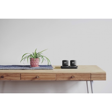 S40 - dual stereo speaker station