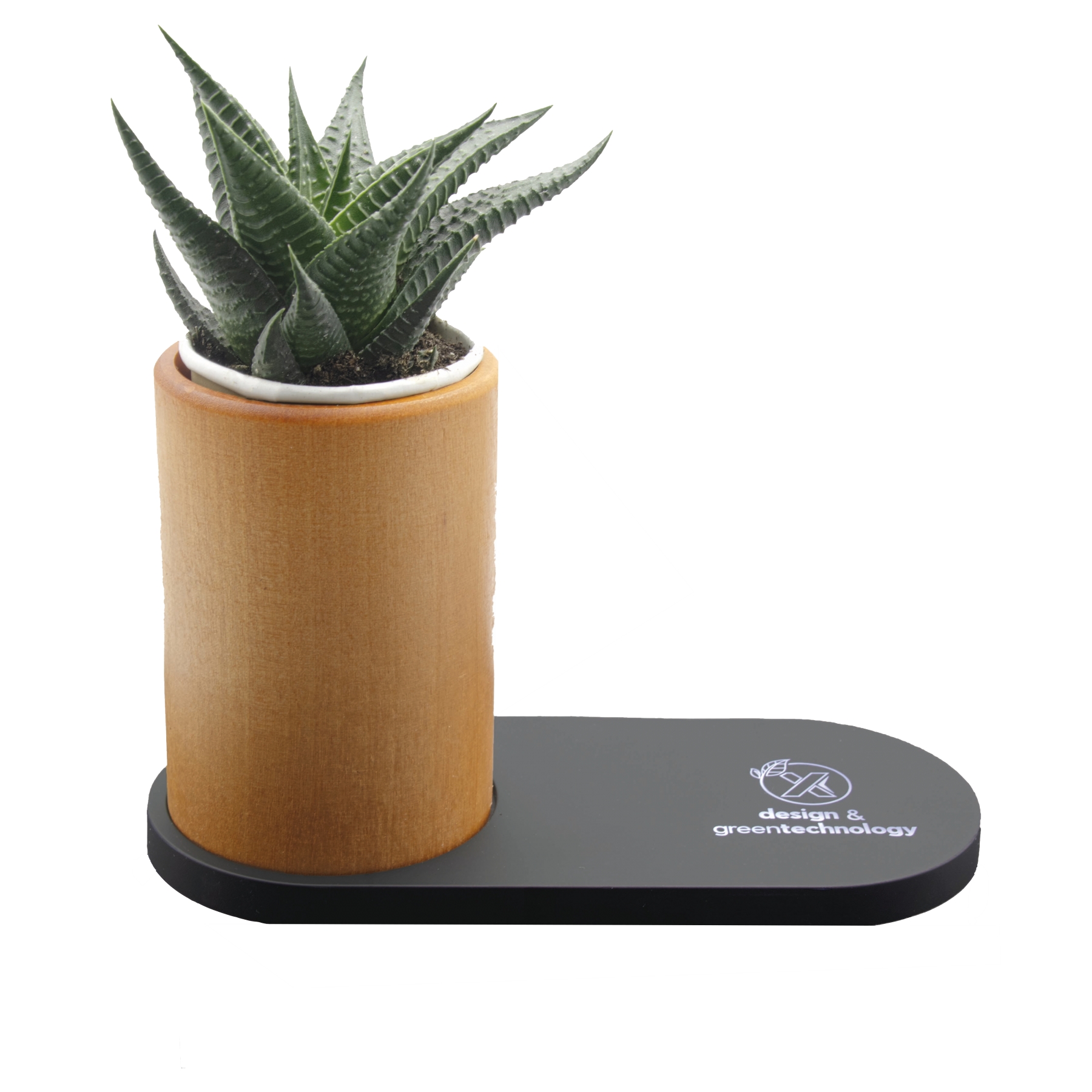 Chargeur 10W et plante dépolluante de bureau bois / noir