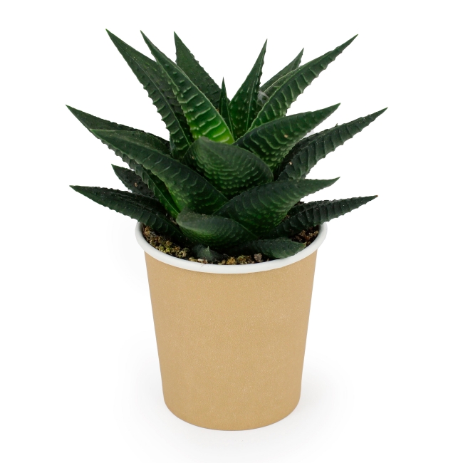 W17 - 10W charging base and desktop air filtering plant